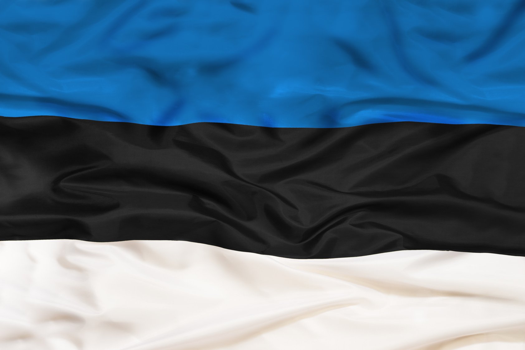 Estonian National Flag 